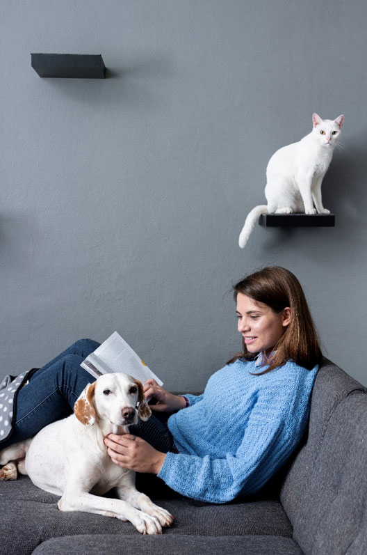 A pet-friendly home: how to live well together with your pet -  SantamargheritaMAG